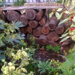 eaton square bug hotel