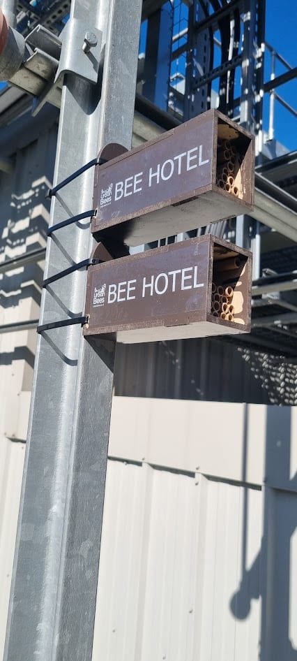 Bee hotels installed