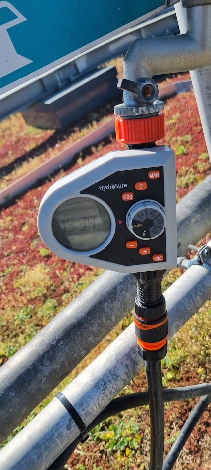 Timed irrigation system