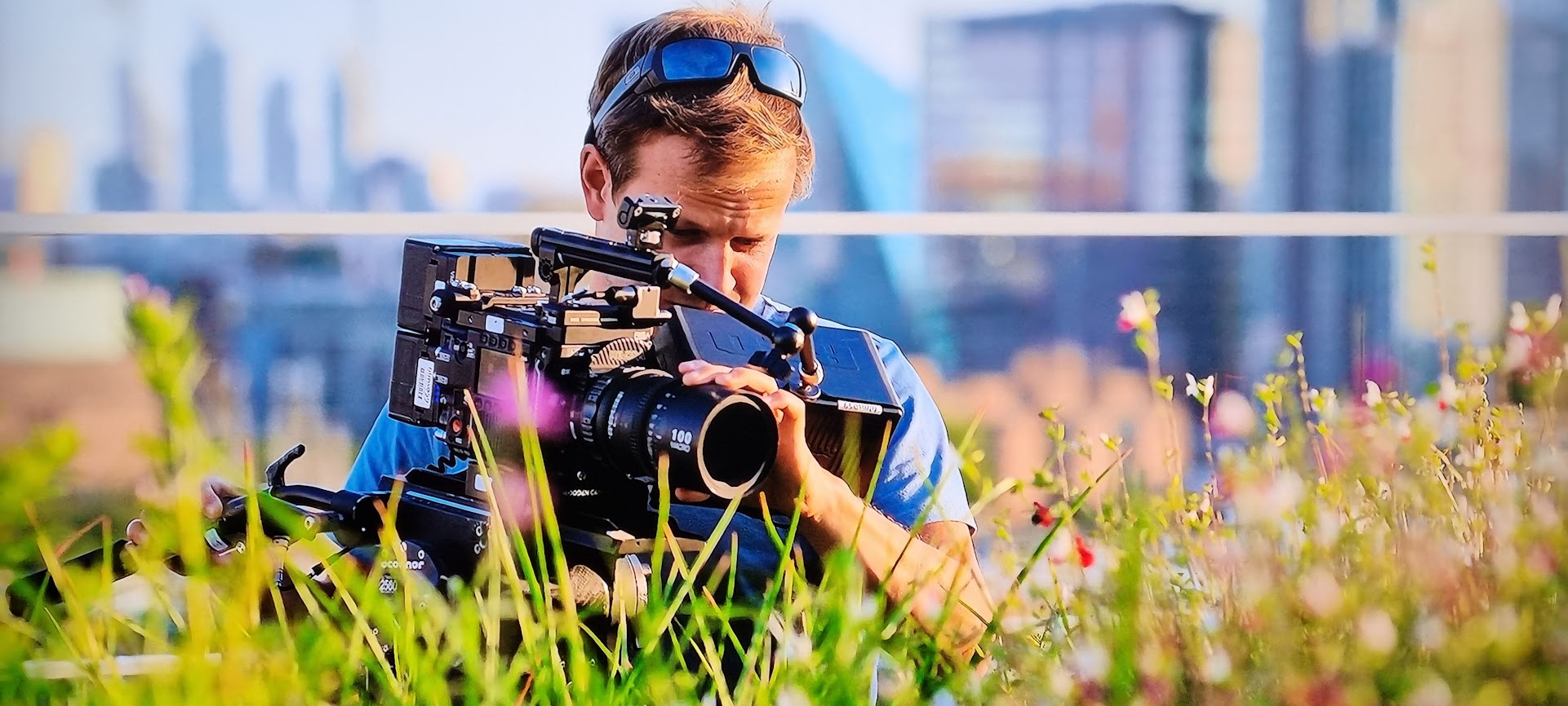 Filming Secrets of the Bees for National Geographic