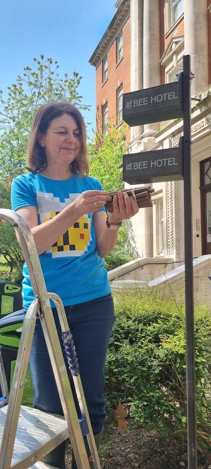 Alison putting tubes into the bee hotels
