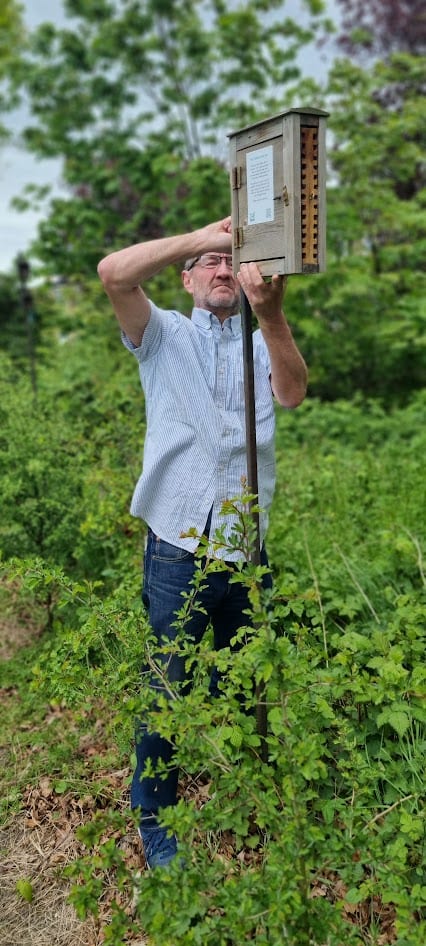 Brian attaching a bee observation box at KCL's Honor Oak sports ground