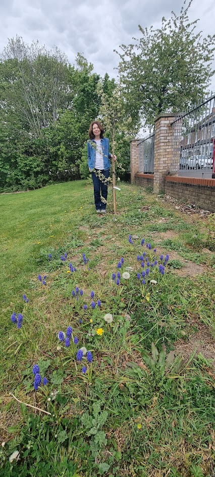 Alison planting a crab apple at Honor Oak sports ground