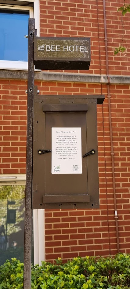 Bee Hotel and observation box at Great Dover Street student accommodation