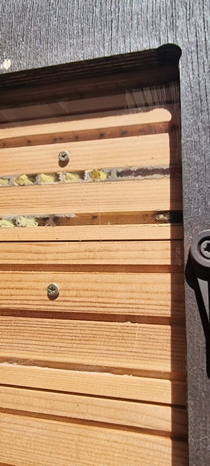 Bee observation box being filled with eggs, pollen and mud partition walls