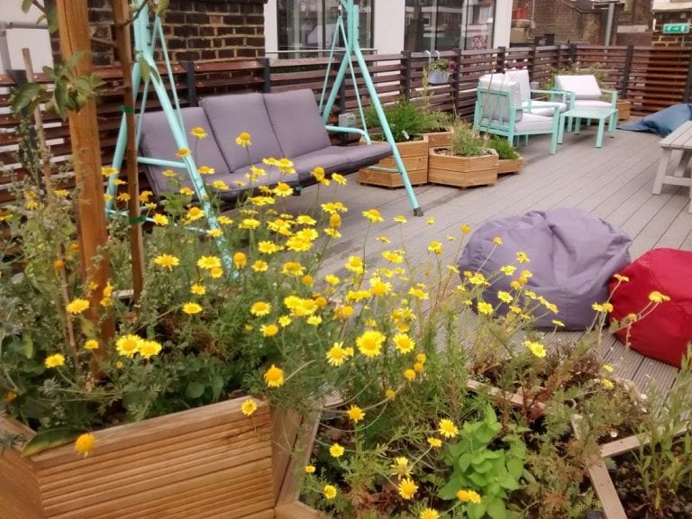 Space for people to enjoy too
