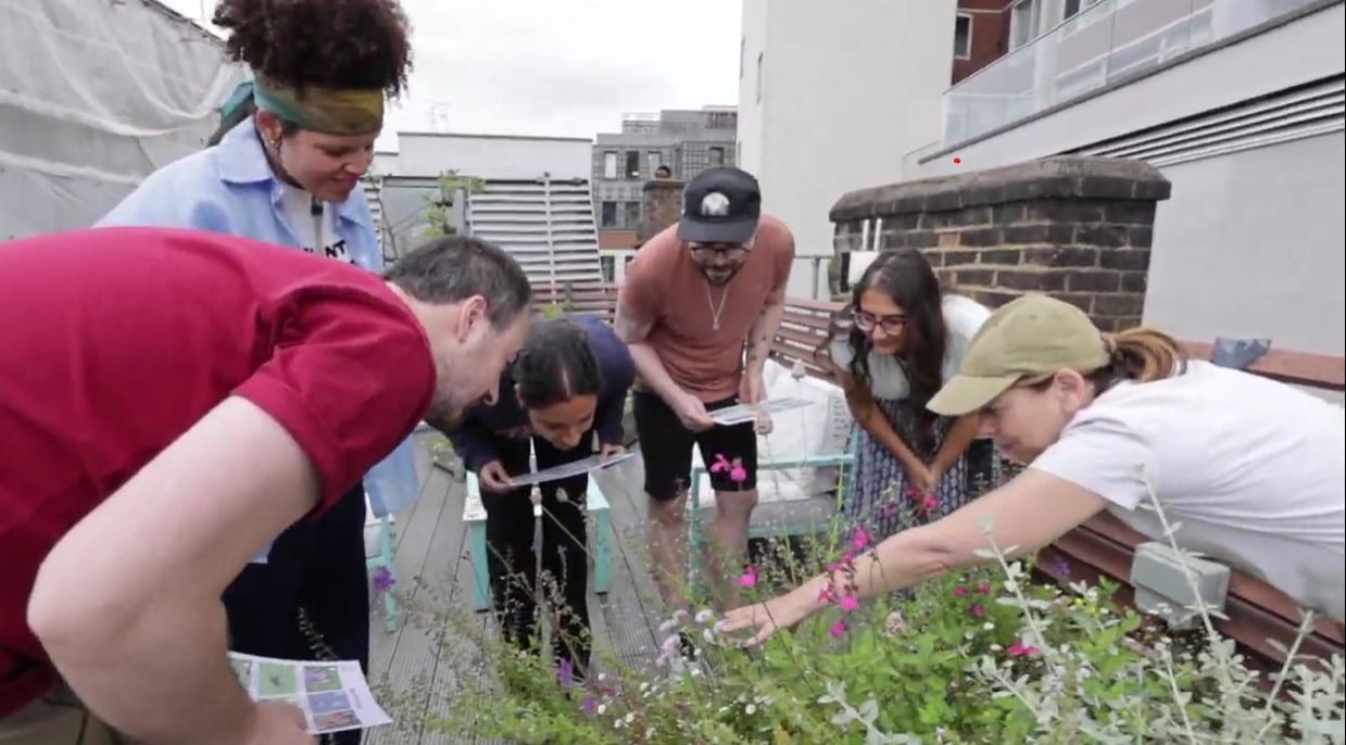 Alison taking staff on a 'bee safari'