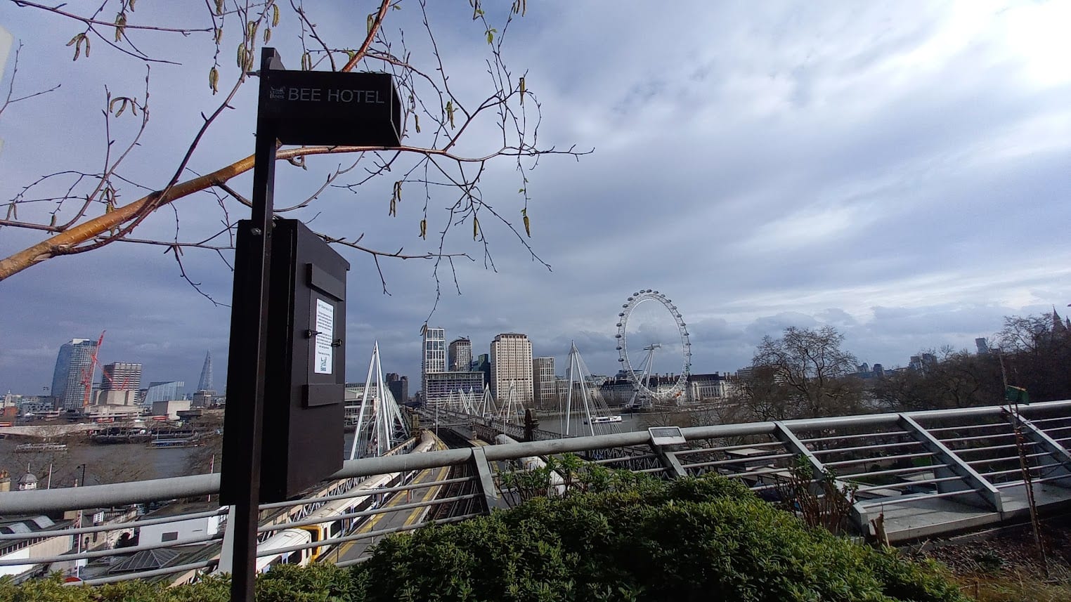 PwC bee hotels and observation box