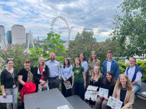 Bee safari in London 