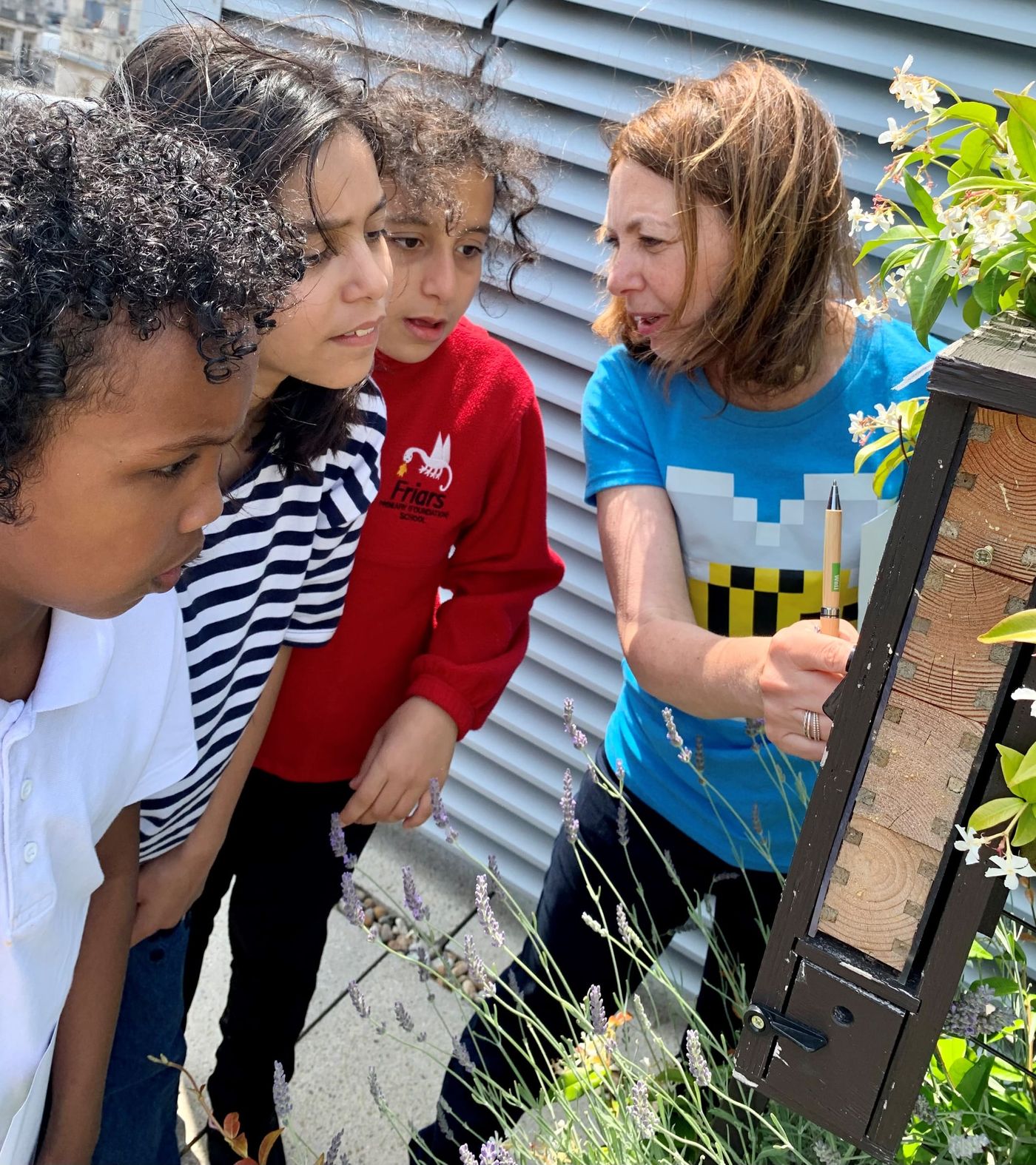 Alison showing pupils the bee observation box