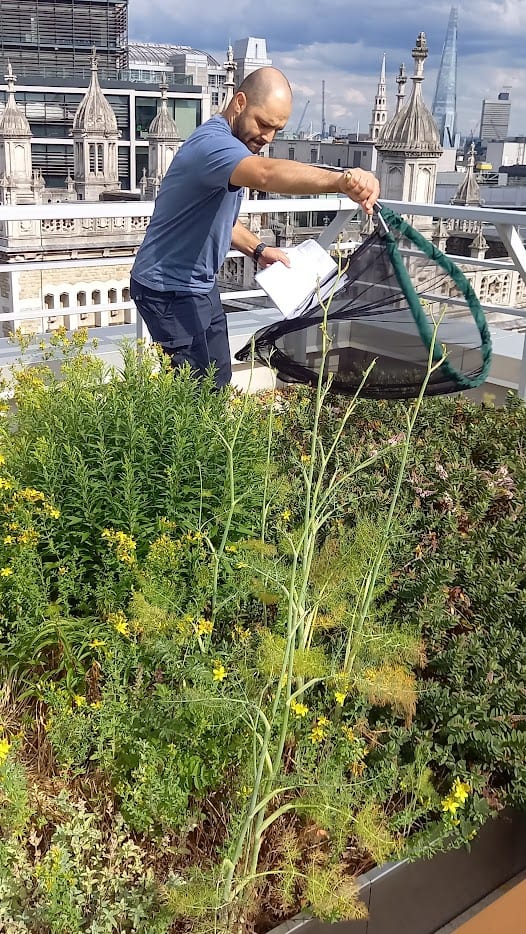 Pollinator survey